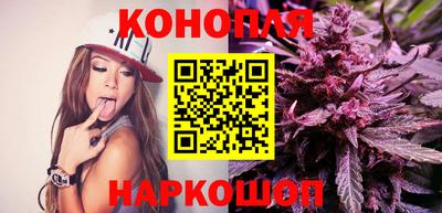 спайс Малгобек