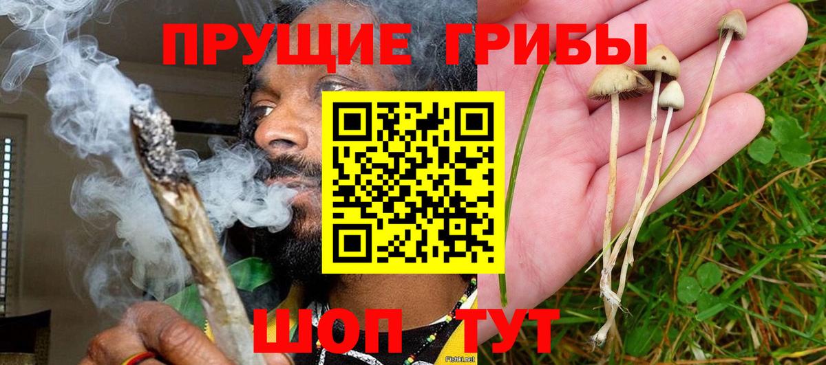 Галлюциногенные грибы MAGIC MUSHROOMS  Вход с VPN  магазин продажи наркотиков  Чусовой 